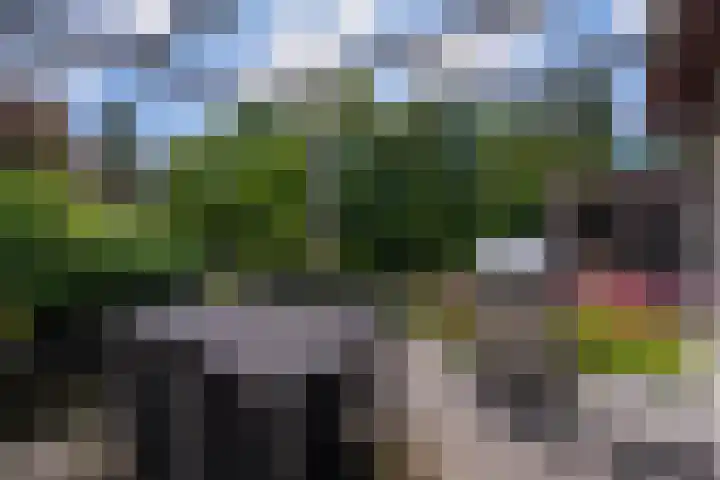 Burg v Roijenstr Oost 47 Hoogezand thumbnail 52