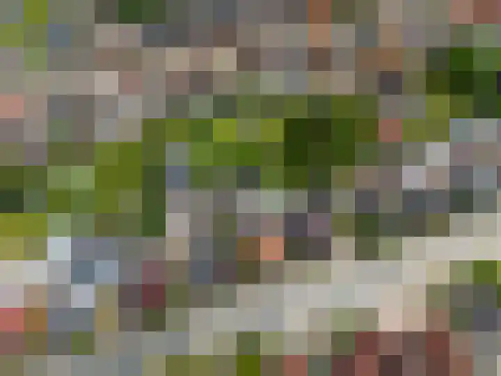 Burg v Roijenstr Oost 47 Hoogezand thumbnail 61