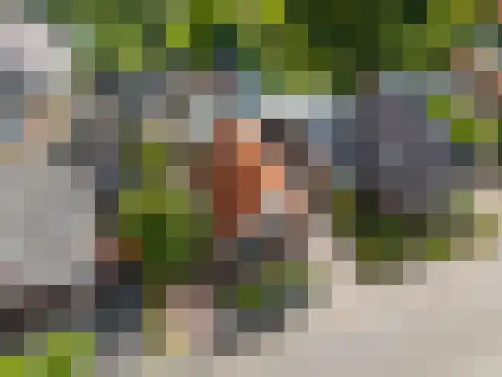 Burg v Roijenstr Oost 47 Hoogezand thumbnail 63