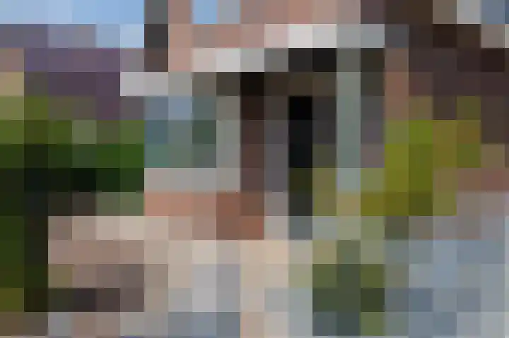 Burg v Roijenstr Oost 62 Hoogezand thumbnail 9