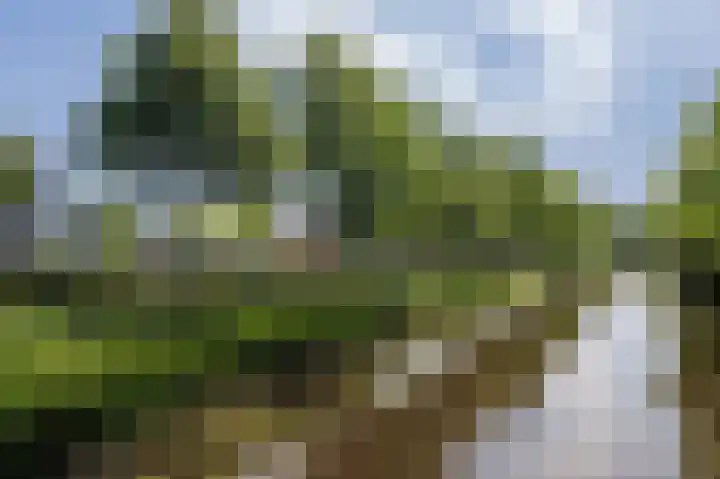 Burg v Roijenstr Oost 62 Hoogezand thumbnail 94
