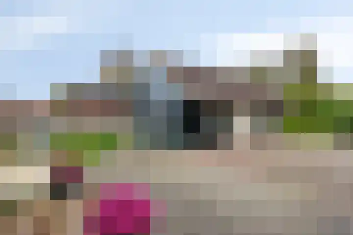 Burg v Roijenstr Oost 92 Hoogezand thumbnail 49
