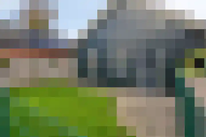Burg v Roijenstr Oost 92 Hoogezand thumbnail 50