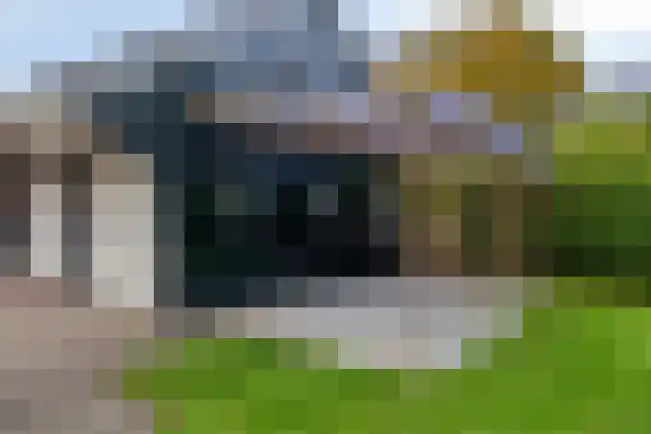 Burg v Roijenstr Oost 92 Hoogezand thumbnail 57