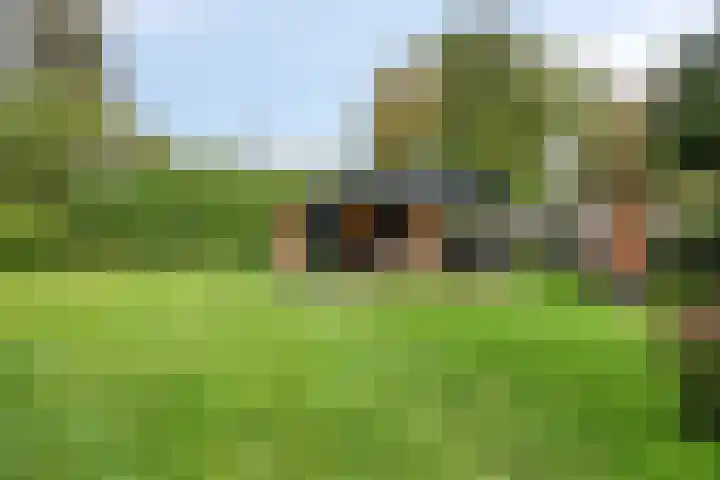 Burg v Roijenstr Oost 92 Hoogezand thumbnail 58