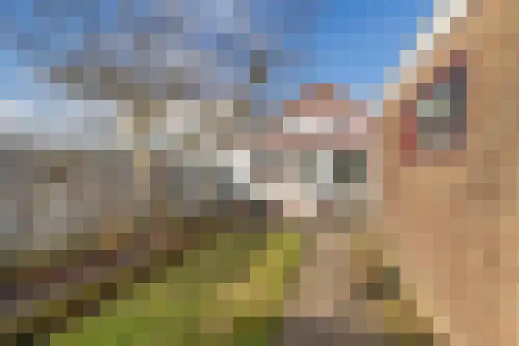 Burg v Roijenstr Oost 97 Hoogezand thumbnail 29
