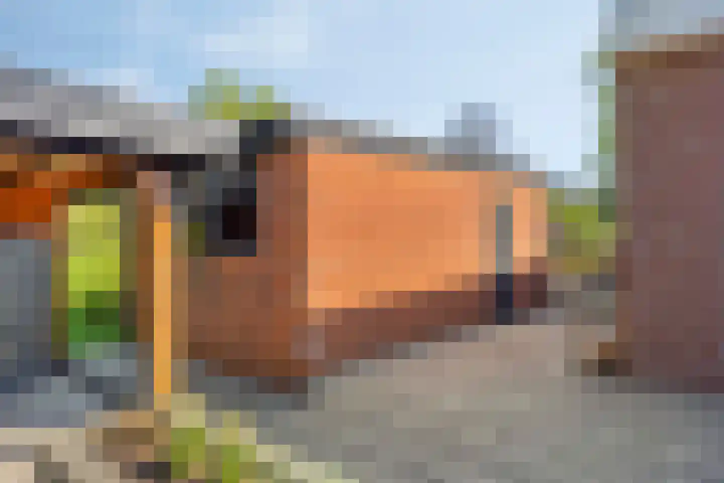 Burg v Roijenstr West 12 Hoogezand thumbnail 41