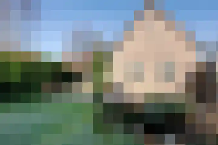 Burg v Roijenstr West 31 Hoogezand thumbnail 11