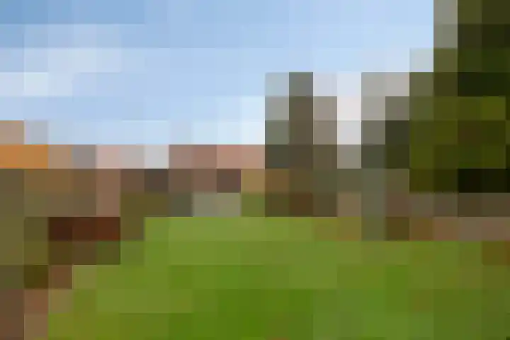 Burg v Roijenstr West 48 Hoogezand thumbnail 31
