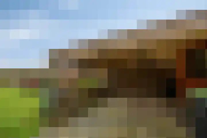 Burg v Roijenstr West 48 Hoogezand thumbnail 32
