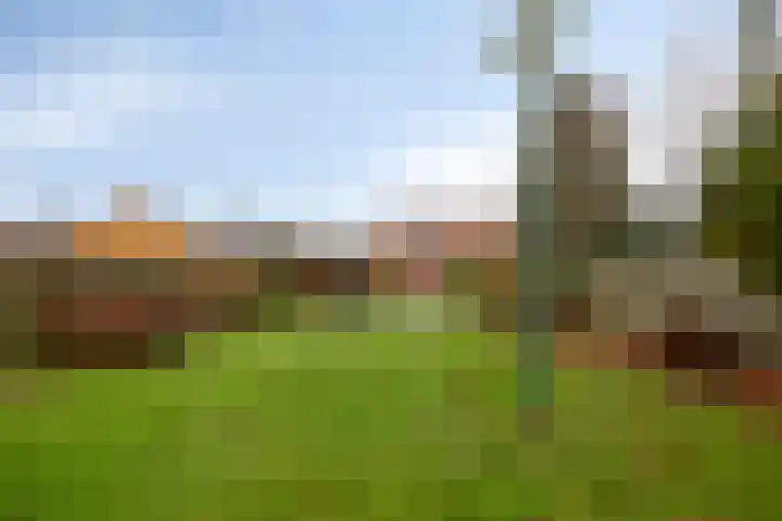 Burg v Roijenstr West 48 Hoogezand thumbnail 4
