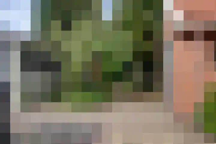 Burg v Roijenstr West 50 Hoogezand thumbnail 12