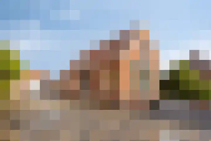 Burg v Roijenstr West 60 Hoogezand thumbnail 9