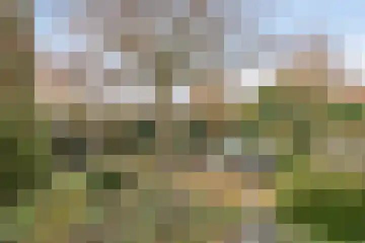 Burg.van Banningstraat 5 Gennep thumbnail 43