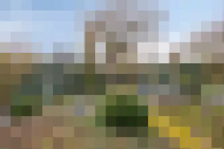 Burg.van Banningstraat 5 Gennep thumbnail 44