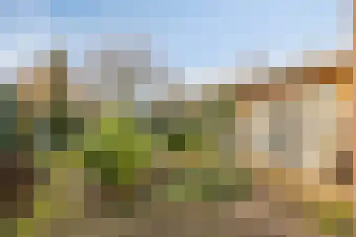 Burg.van Banningstraat 5 Gennep thumbnail 5