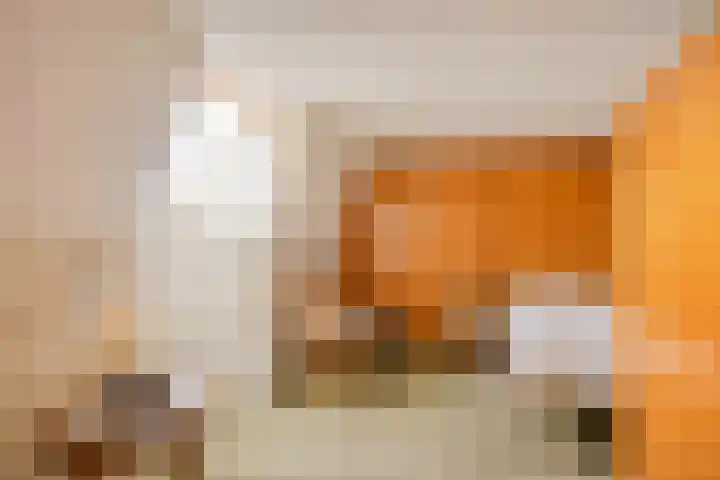 Burg van Barneveldweg 15 Aduard thumbnail 16