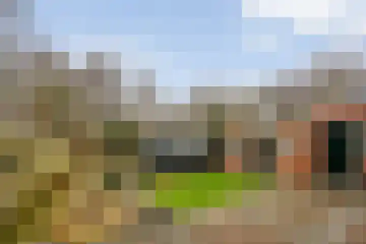 Burg van Barneveldweg 15 Aduard thumbnail 23