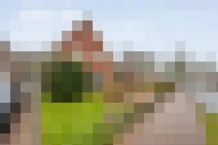 Burg van Barneveldweg 15 Aduard thumbnail 29