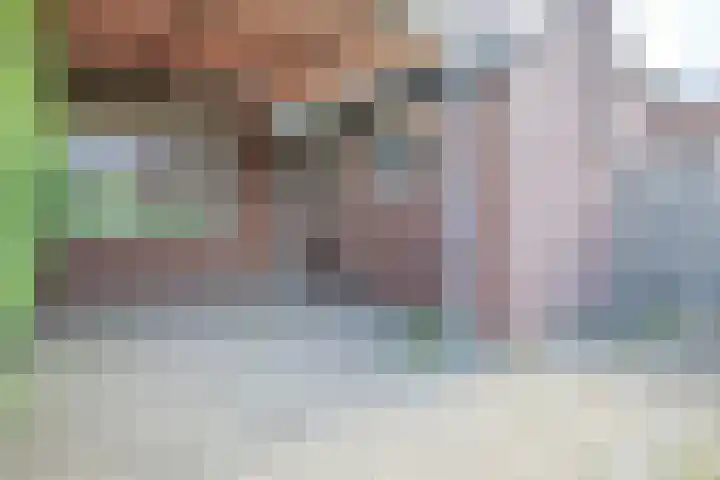 Burg. van Boxtelstraat 24 Limbricht thumbnail 10