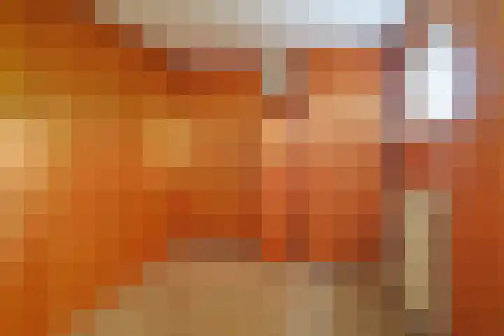 Burg. van Boxtelstraat 24 Limbricht thumbnail 16