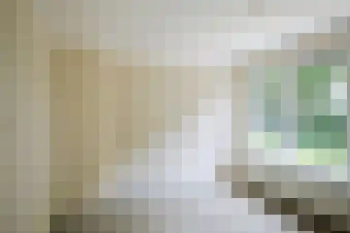 Burg. van Boxtelstraat 24 Limbricht thumbnail 23