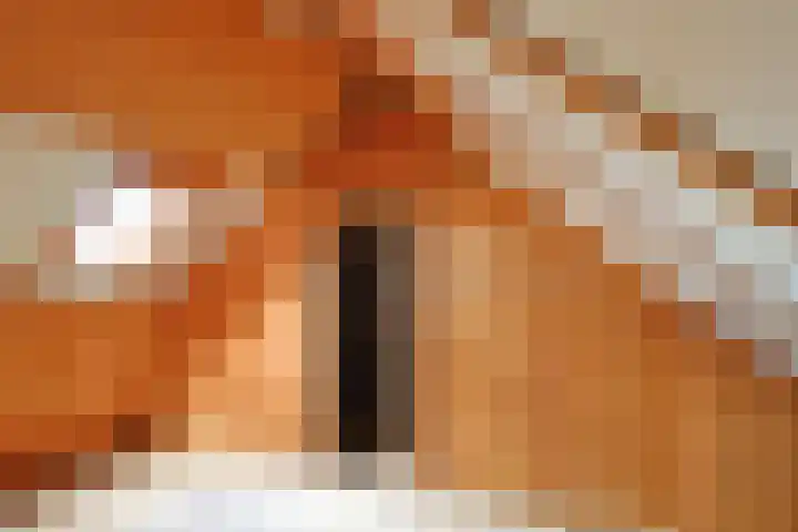 Burg. van Boxtelstraat 24 Limbricht thumbnail 27