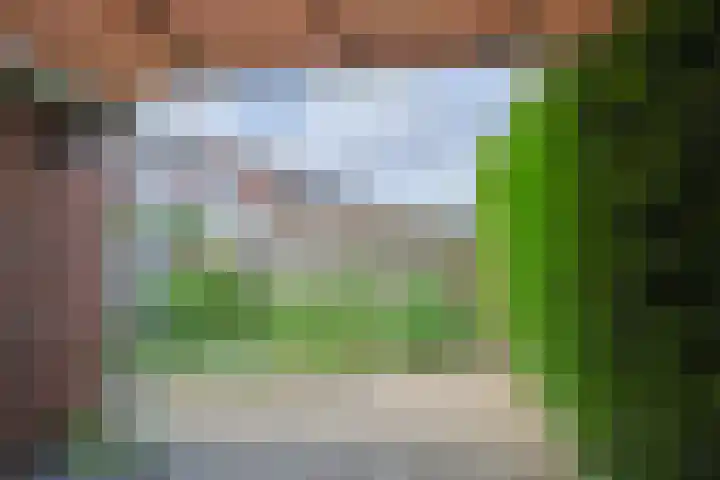 Burg. van Boxtelstraat 24 Limbricht thumbnail 4