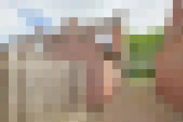 Burg. van Boxtelstraat 24 Limbricht thumbnail 8