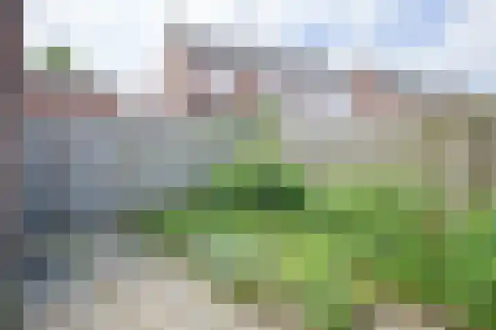 Burg. van Boxtelstraat 24 Limbricht thumbnail 9