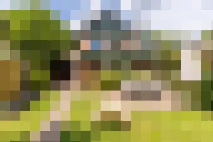 Burg. Van de Venstraat 15 Haaren thumbnail 31