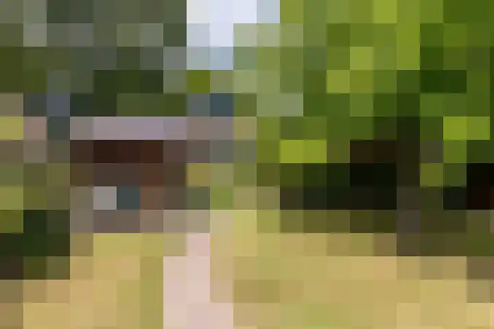 Burg. Van de Venstraat 15 Haaren thumbnail 32