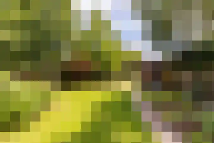 Burg. Van de Venstraat 15 Haaren thumbnail 33