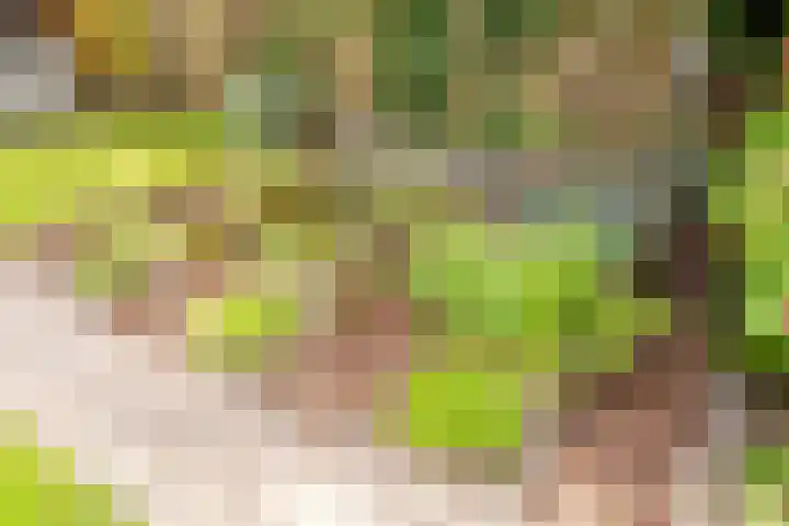 Burg. Van de Venstraat 15 Haaren thumbnail 34