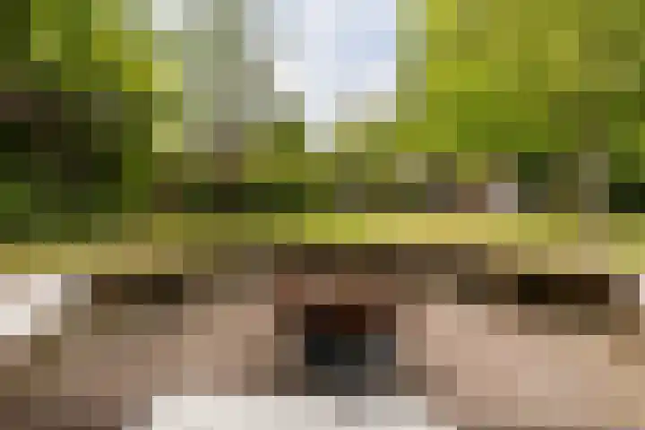 Burg. Van de Venstraat 15 Haaren thumbnail 43