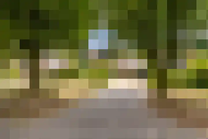 Burg. Van de Venstraat 15 Haaren thumbnail 50