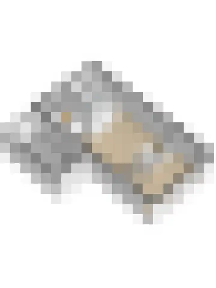 Burg. Van de Venstraat 15 Haaren thumbnail 53