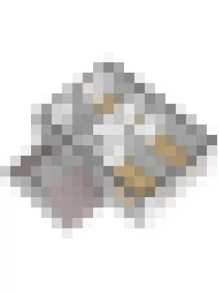 Burg. Van de Venstraat 15 Haaren thumbnail 55
