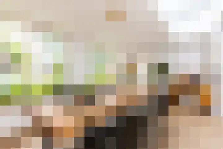 Burg. Van de Venstraat 15 Haaren thumbnail 7