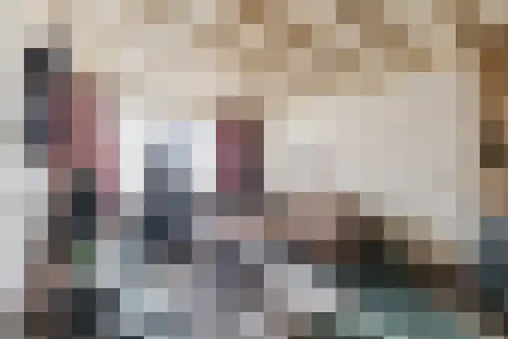 Burg. Van de Venstraat 6 Haaren thumbnail 5