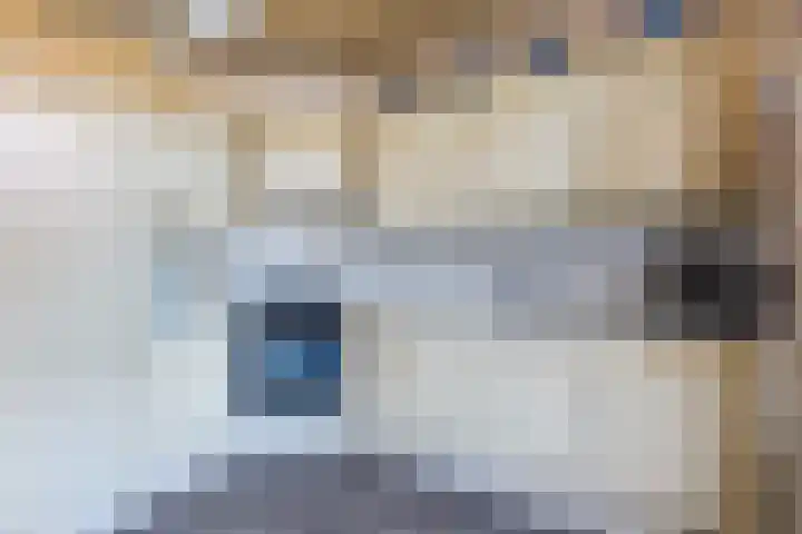 Burg. Van de Venstraat 6 Haaren thumbnail 9