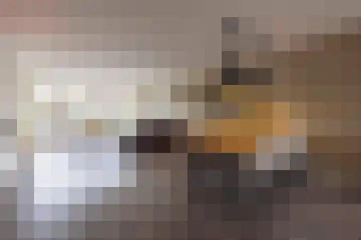 Burg. Van den Oeverstraat 5 Haaren thumbnail 10