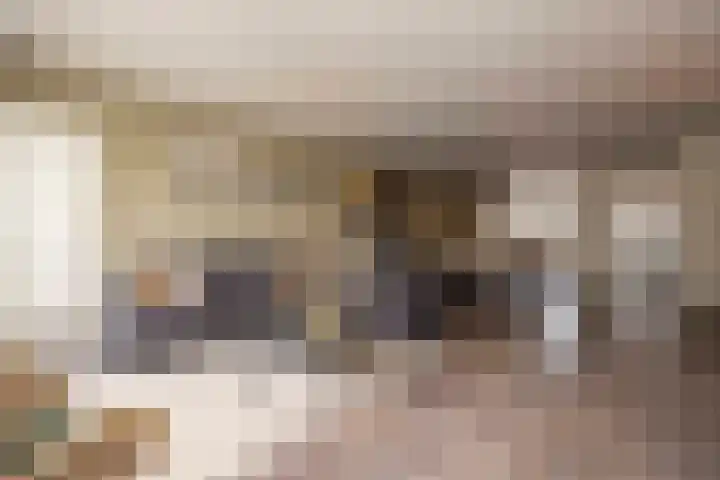 Burg. Van den Oeverstraat 5 Haaren thumbnail 11
