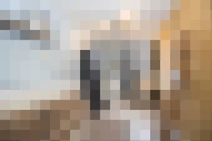 Burg. Van den Oeverstraat 5 Haaren thumbnail 21
