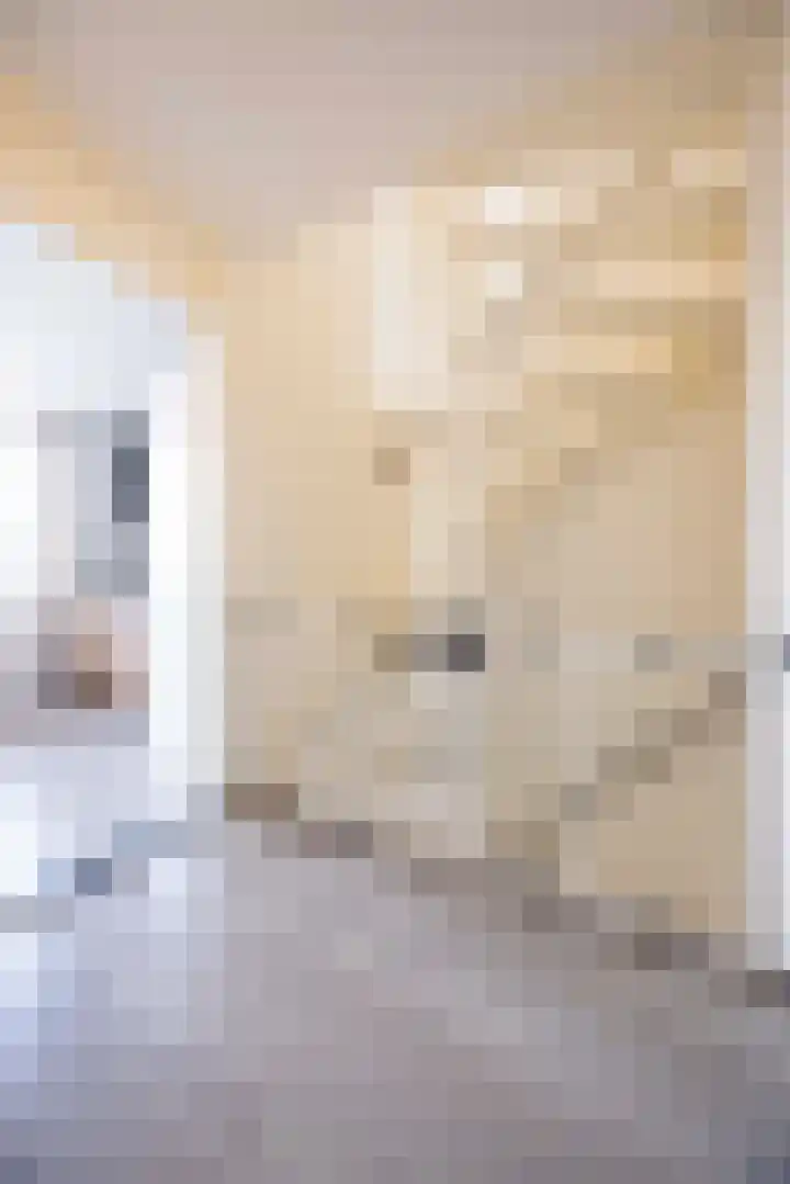 Burg. Van den Oeverstraat 5 Haaren thumbnail 25