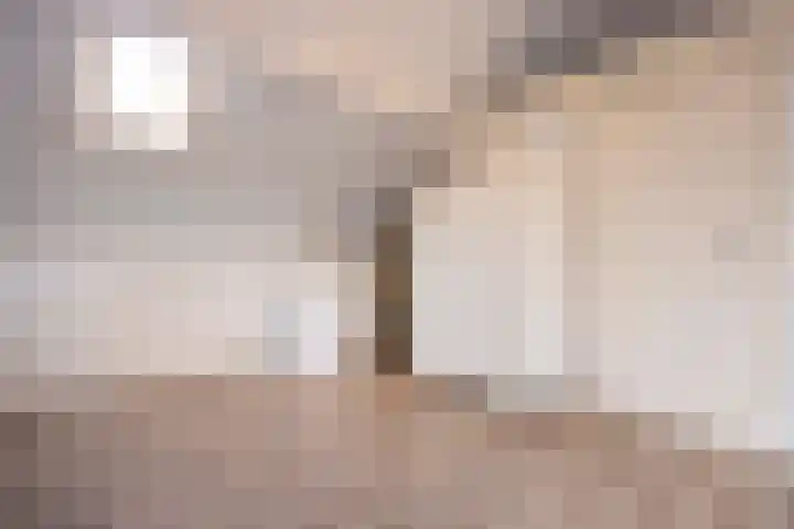 Burg. Van den Oeverstraat 5 Haaren thumbnail 26