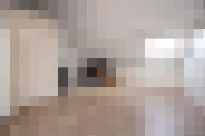 Burg. Van den Oeverstraat 5 Haaren thumbnail 28