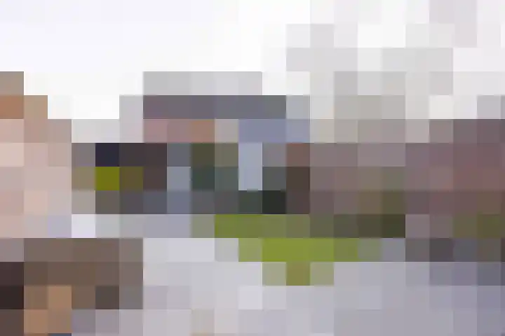 Burg. Van den Oeverstraat 5 Haaren thumbnail 32