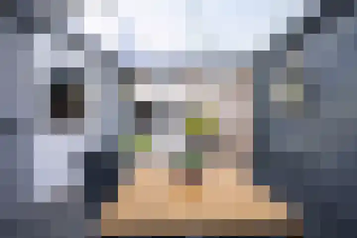 Burg. Van den Oeverstraat 5 Haaren thumbnail 35