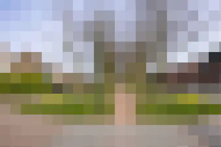 Burg. Van den Oeverstraat 5 Haaren thumbnail 39